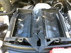 40125983222_214300868f_c.jpg 40125983222_214300868f_c.jpg