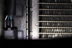 IMG_20180503_1820132.jpg IMG_20180503_1820132.jpg