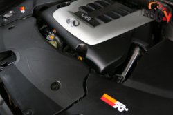 59d990as-960 (1).jpg