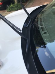 2 Months Aft_Back to Black1.jpg