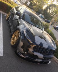 IMG_1977.JPG IMG_1977.JPG