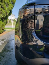 46229762902_af0a04d8a1_k.jpg 46229762902_af0a04d8a1_k.jpg