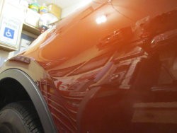 IMG_1932.jpg IMG_1932.jpg