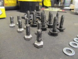 IMG_2010.jpg IMG_2010.jpg