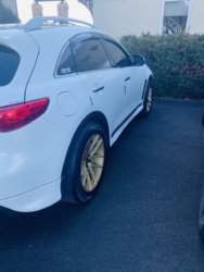 IMG_5313.jpg IMG_5313.jpg