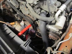 IMG_2484.jpg IMG_2484.jpg