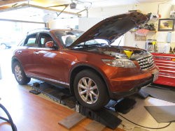 IMG_2491.jpg IMG_2491.jpg