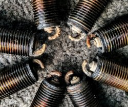 IMAG0016.jpg IMAG0016.jpg