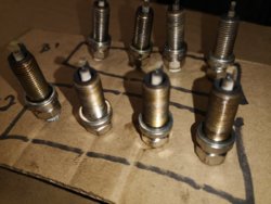 IMG_20200304_110824.jpg IMG_20200304_110824.jpg