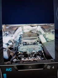 IMG_20200902_203704937.jpg IMG_20200902_203704937.jpg