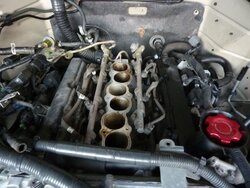 P1070939.JPG P1070939.JPG