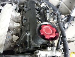 P1080084.JPG P1080084.JPG