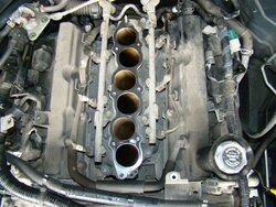 DSC04096.jpg DSC04096.jpg