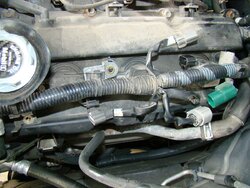 DSC04097.JPG DSC04097.JPG