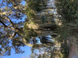 IMG_0688.JPG IMG_0688.JPG