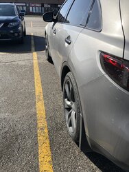 Photo 2021-03-25, 10 25 56 AM.jpg