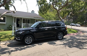 2019 QX80 4WD