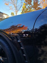 IMG_20210428_081832.jpg IMG_20210428_081832.jpg