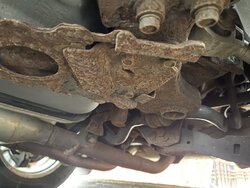 Photo Jan 16, 3 08 00 PM.jpg