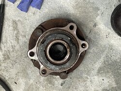 Photo Feb 13, 7 36 10 AM.jpg