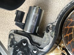 Photo Feb 25, 4 45 41 PM.jpg