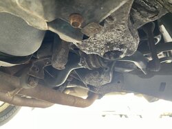 Photo Mar 13, 12 43 04 PM.jpg