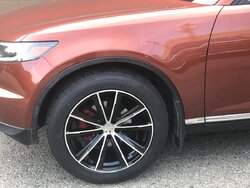 IMG_3869.jpg IMG_3869.jpg