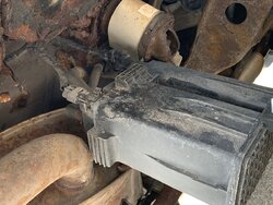 IMG_5399.jpg IMG_5399.jpg