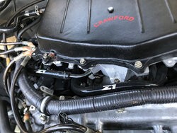 IMG_4484.jpeg IMG_4484.jpeg