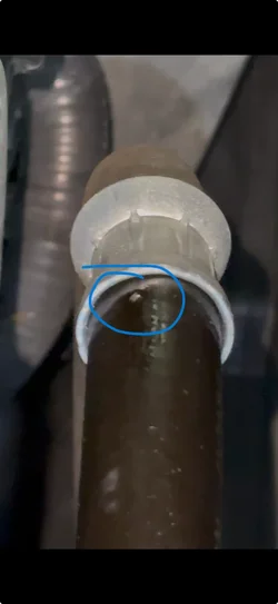 View recent photos.webp