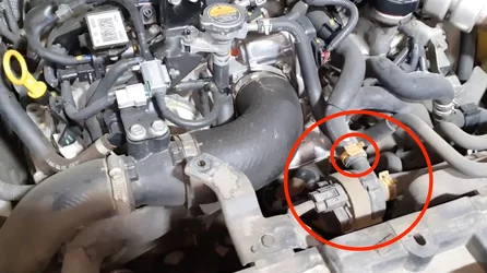 Coducto de goma.webp Coducto de goma.webp