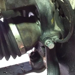 image.webp image.webp