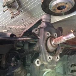 image.webp image.webp