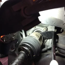 image.webp image.webp